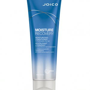 joico Moisture Recovery Conditioner image