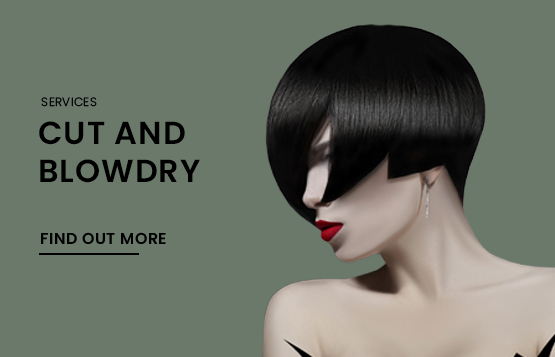 Cut and Blowdry
